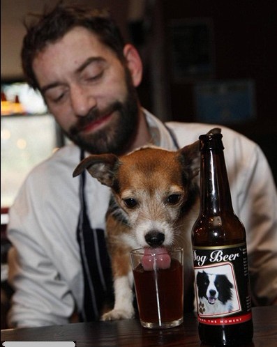 　　英酒吧推宠物狗专用啤酒　爱犬也可“饮酒作乐